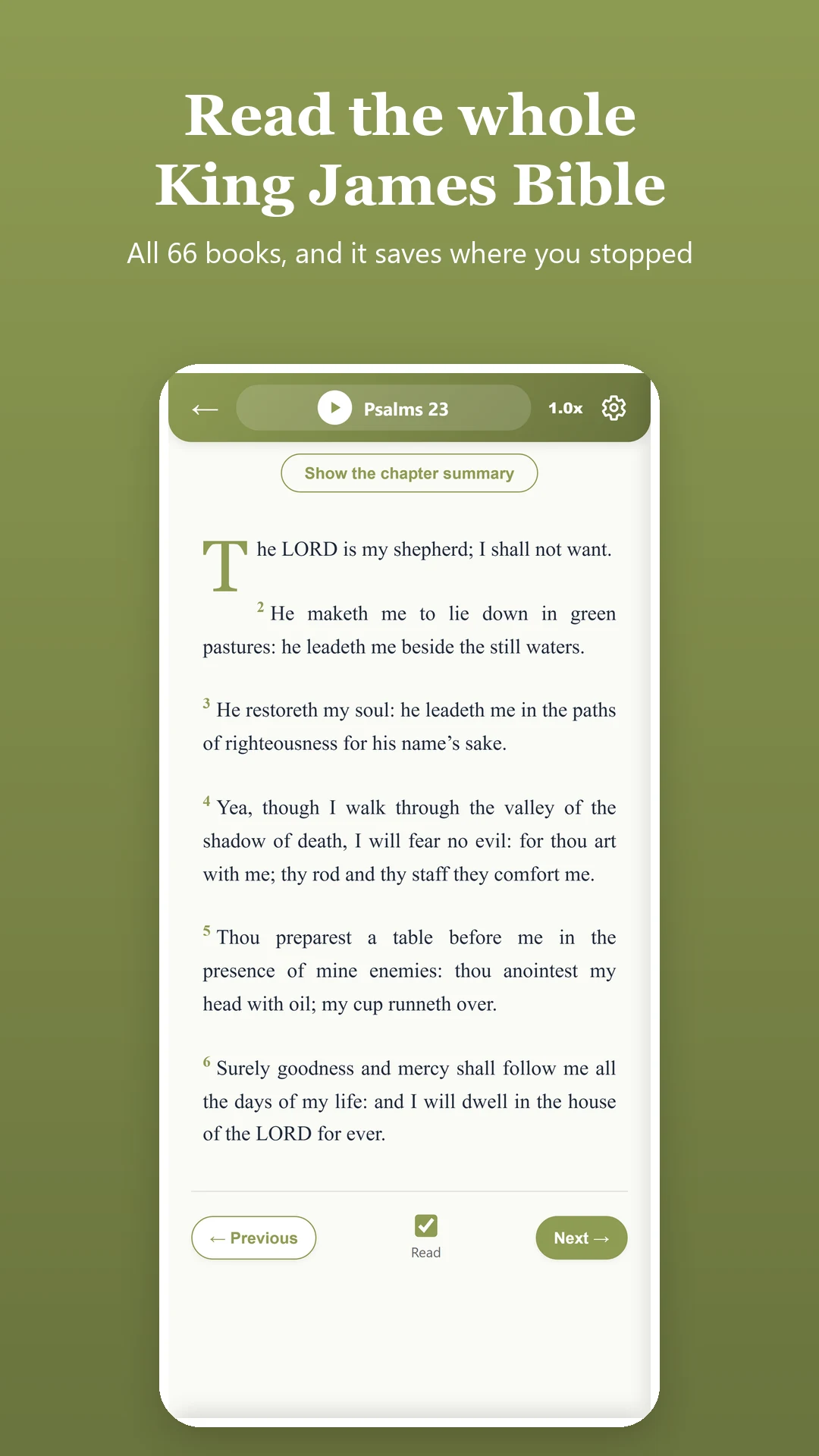Bible and Dictionary screenshot